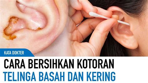 bersihkan telinga